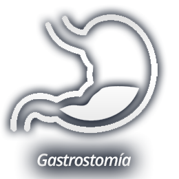 gastro-icon